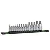 Star Bit Socket Set (15-Piece) by Capri Tools